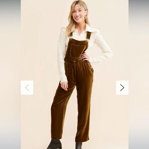 Faherty Brown/green Velvet Overalls NWT
